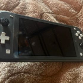 Nintendo Switch Lite グレー ※ジャンク品