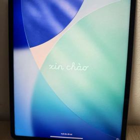 【超美品】iPad Pro 12.9インチ 第5世代 Wi-Fi 256GB