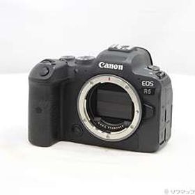 EOS R6 ボディー
