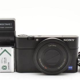 47 SONY DSC-RX100