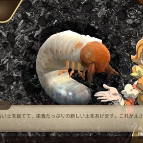 カブトクワガタ デラックス -Switch (【メーカー特典】小学館図鑑NEO「カブトクワガタ」 同梱)【新品】