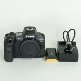 [良品 | シャッター数81,710回] Canon EOS R5 | Canon RFマウント