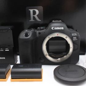 4000ショット以下！Canon EOS R6 MarkⅡ キヤノン