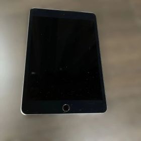 iPad mini (第5世代) 256GB