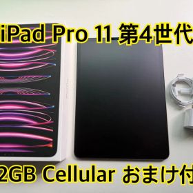 iPad Pro 11インチ 第4世代 512GB Cellular おまけ多数