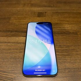 Apple iPhone 15 Pro Max ホワイトチタニウム