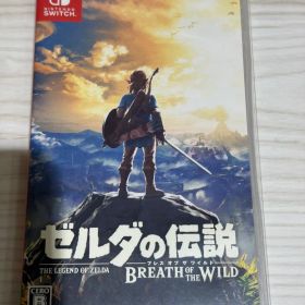 ゼルダの伝説 ブレス オブ ザ ワイルド Switch ブレワイ ①