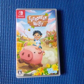 Switch Everdream Valley エバードリームバレー