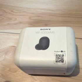 Sony WF-1000XM6 ワイヤレスイヤホン
