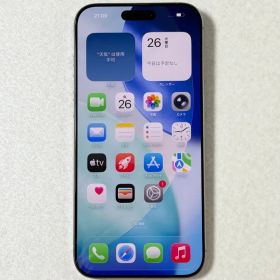 国内版 SIMフリー iPhone 16 Pro Max 256GB 100%