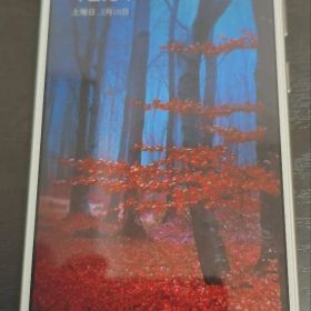 ASUS ZenFone 4 Max X00HD