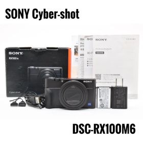 【美品】ソニー SONY Cyber-shot DSC-RX100M6 コンデジ