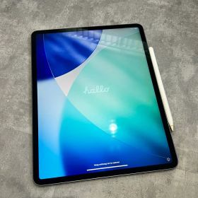 iPad Pro 12.9第4世代 256GB セット