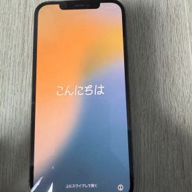 Apple iPhone 12 Pro Max 256GB 本体
