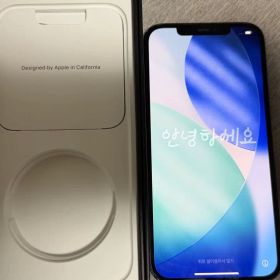 Apple iPhone 12Pro max 本体