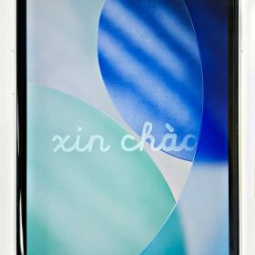 iPhone SE2 64GB MHGQ3J/A ホワイト バッテリー98% SIMロックなし Apple R2604-221