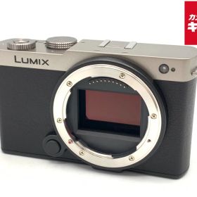 【中古】 【美品】 パナソニック LUMIX DC-S9-S ボディ ダークシルバー