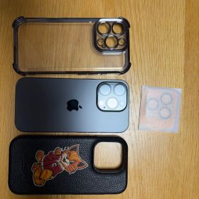 iphone16pro COACHキャットストリートケース