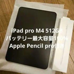 iPad pro M4 512GB 11インチ Apple Pencil pro
