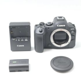キヤノン Canon EOS R6 Mark II ボディー