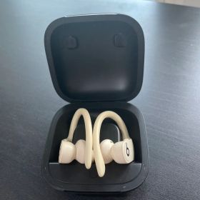 Beats Powerbeats Pro ワイヤレスイヤホン 本体