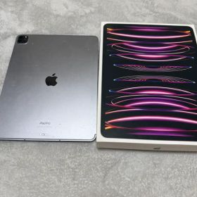 iPad Pro 12.9 第6世代 セルラーモデル