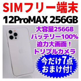 SIMフリー iPhone12ProMAX 256GB 1637 電池良好