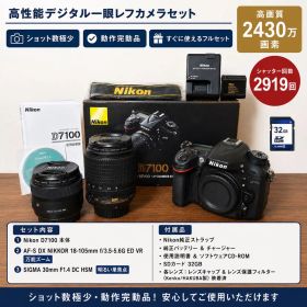 Nikon D7100 シャッター極少2919回 ダブルレンズセット 完動品