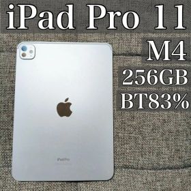 Apple 11インチ iPad Pro (M4) 256GB 本体