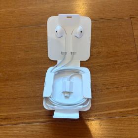 Apple EarPods with Lightning Connector