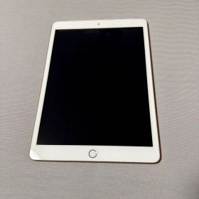 Apple iPad 第8世代 32GB ピンクゴールド 本体