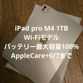 iPad pro M4 1TB 11インチ AppleCare+付