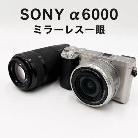 SONY α6000 ミラーレス一眼 16-50mm、55-210mm Wズーム