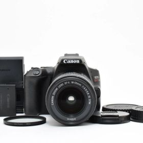 ★美品★ ショット数 17000回 キヤノン CANON EOS Kiss X10 + EF-S 18-55mm F3.5-5.6 IS STM #2051