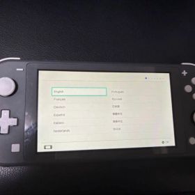 Nintendo Switch Lite ゲーム機本体 中古 9,500円 | ネット最安値の