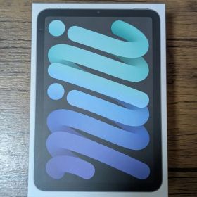 iPad mini 6 Wi-Fi + cellular 256GB
