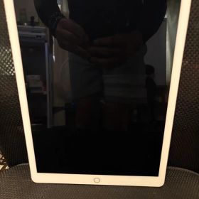 iPad Pro (第1世代) 12.9インチ 256GB wifi A1584