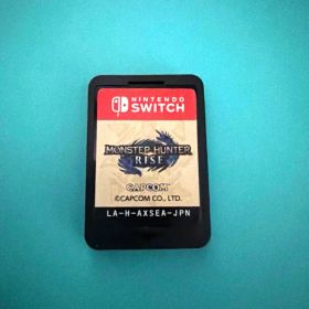 Nintendo Switch モンスターハンターライズ ソフト