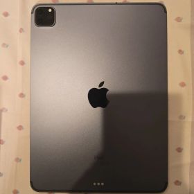 Apple iPad Pro 11インチ 第2世代 256GB 本体