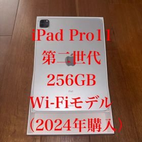iPad Pro 11 第2世代 256GB Wi-Fiモデル【2024年購入】