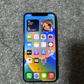 Apple iPhone X 256GB 本体