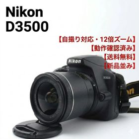 【極美品／ショット45枚】Nikon D3500 標準レンズセット 完動品