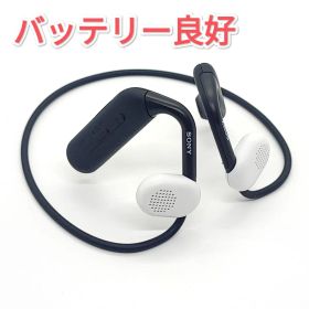 101 SONY Float Run WI-OE600 (WI-OE610)