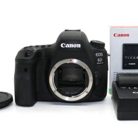 ★極上品★ Canon EOS 6D Mark II ボディ バッテリー付属