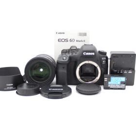 ■美品■ CANON デジタル一眼レフカメラ EOS 6D Mark II EF24-70 F4L IS USM レンズキット ♯12817