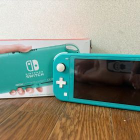 Switch lite