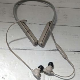 SONY WI-1000XM2 ワイヤレスイヤホン プラチナシルバー