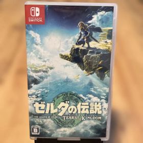 ゼルダの伝説 ティアーズ オブ ザ キングダム Switch