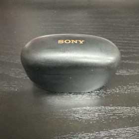 SONY WF-1000XM5