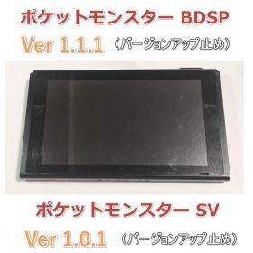 switch スイッチ本体 SV Ver. 1.0.1 BDSP 1.1.1